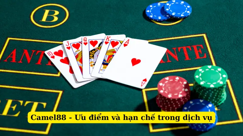 Camel88 - Ưu điểm và hạn chế trong dịch vụ